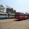 Buses Ready to Take Devotees, Garh
